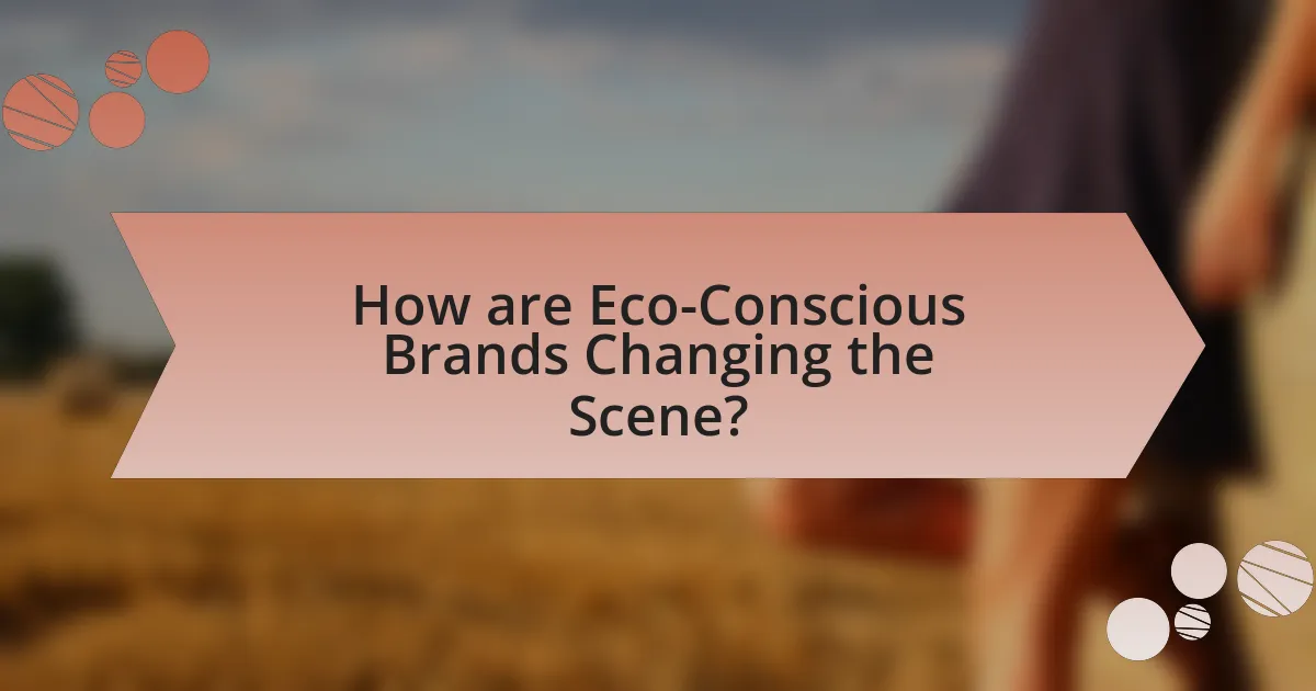 How are Eco-Conscious Brands Changing the Scene?