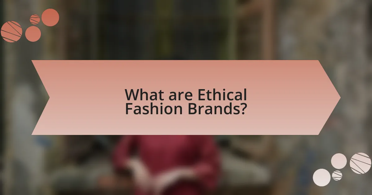 What are Ethical Fashion Brands?