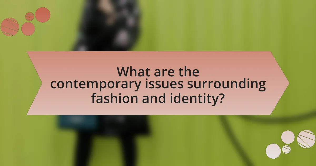 What are the contemporary issues surrounding fashion and identity?