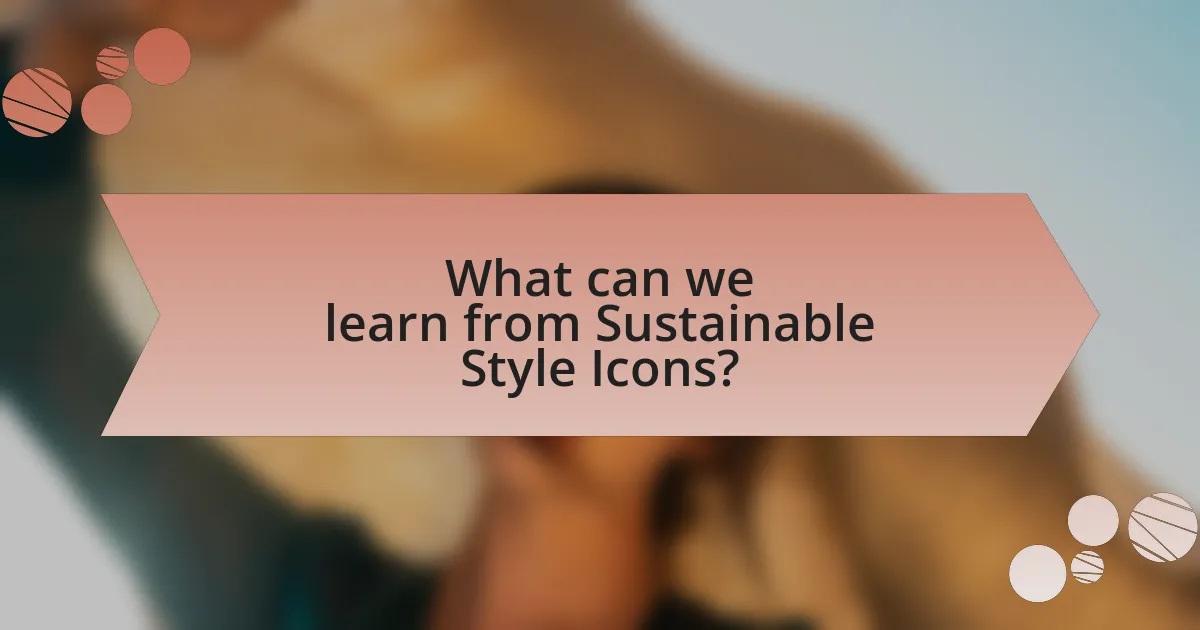 What can we learn from Sustainable Style Icons?