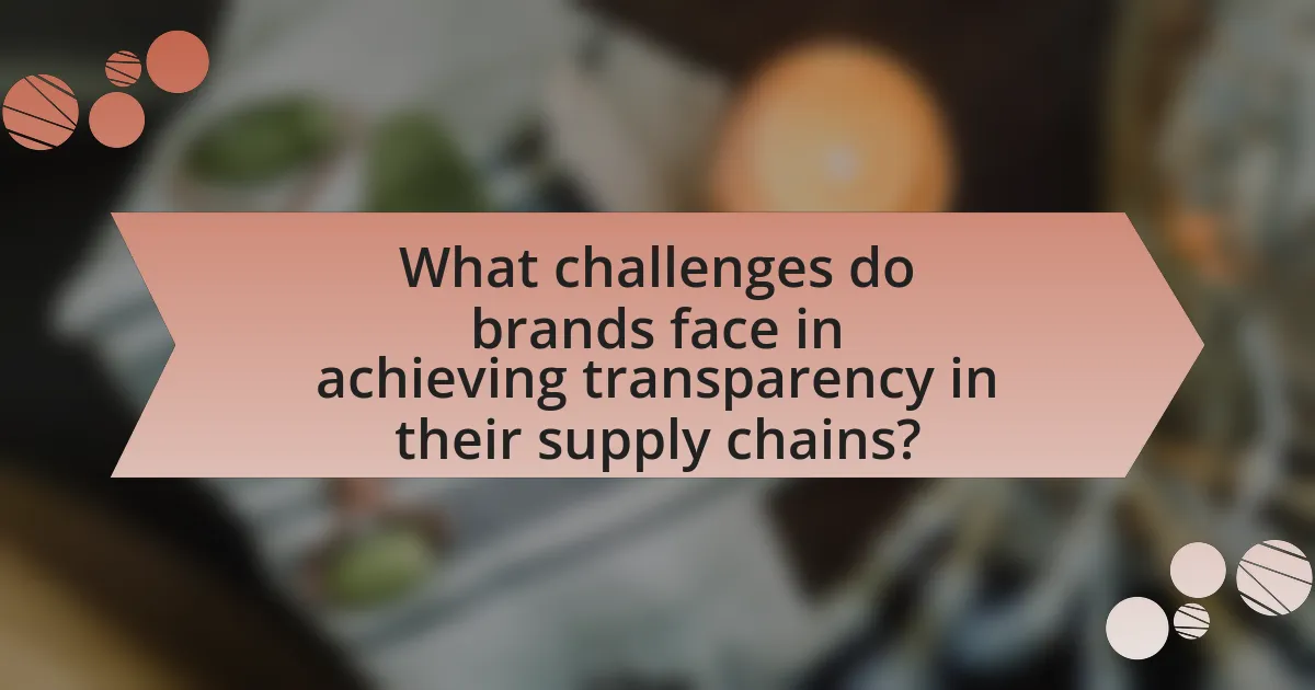 What challenges do brands face in achieving transparency in their supply chains?