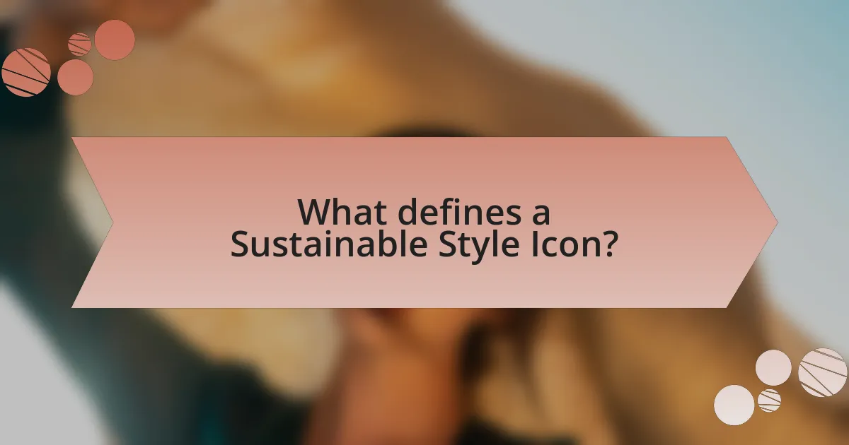 What defines a Sustainable Style Icon?
