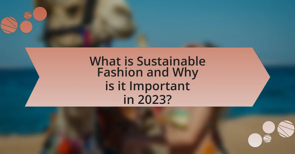 What is Sustainable Fashion and Why is it Important in 2023?