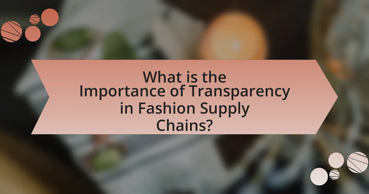 What is the Importance of Transparency in Fashion Supply Chains?