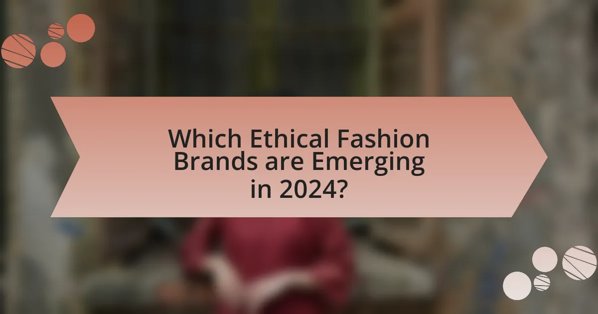 Which Ethical Fashion Brands are Emerging in 2024?