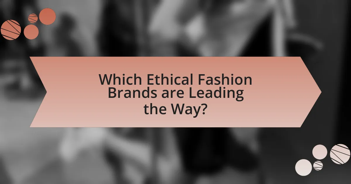Which Ethical Fashion Brands are Leading the Way?